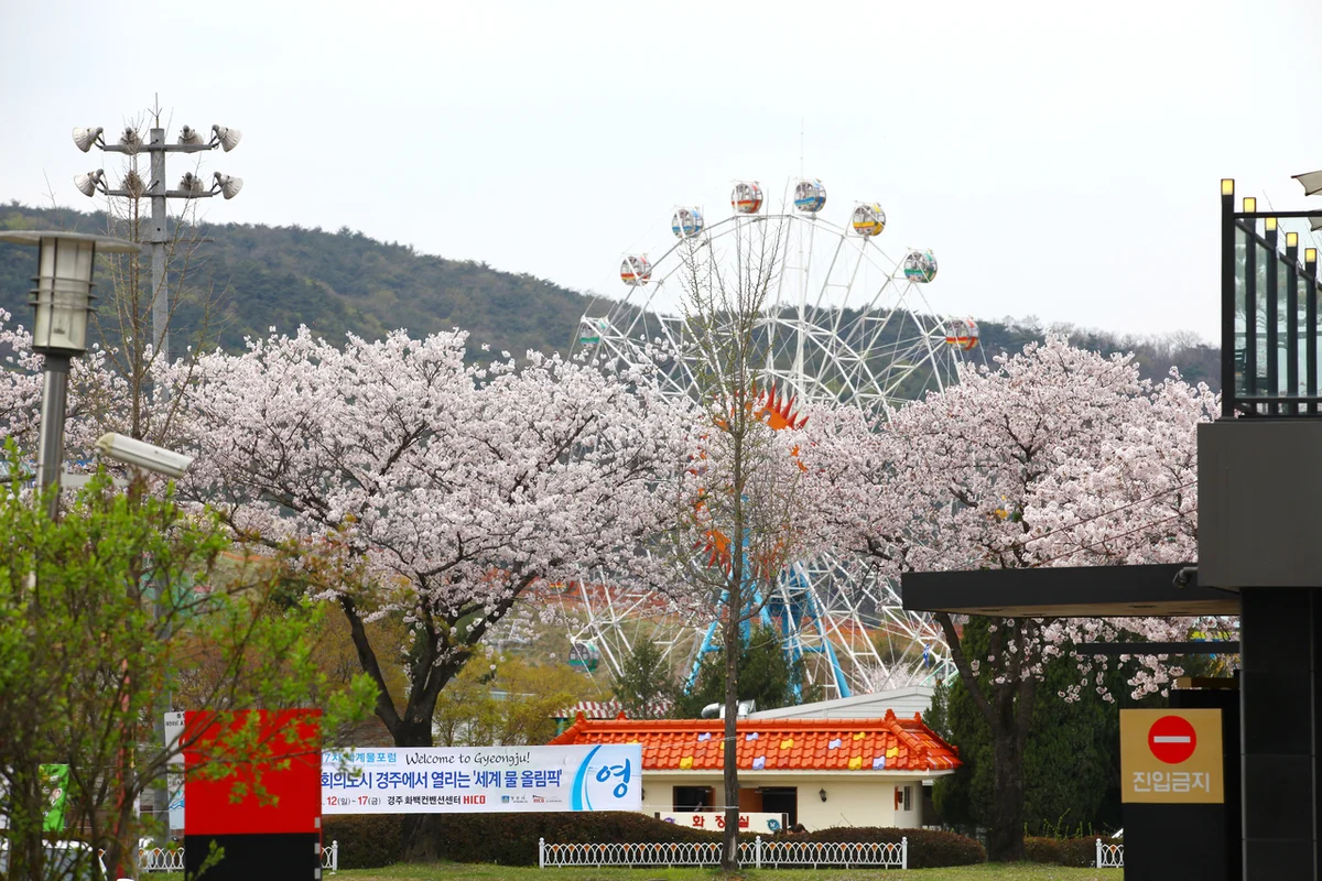 라한셀렉트 경주 특가제공 5성급 2026년 여름, 놓쳐서는 안 될 코스 5가지 2 경주월드 - 경주여행 여행